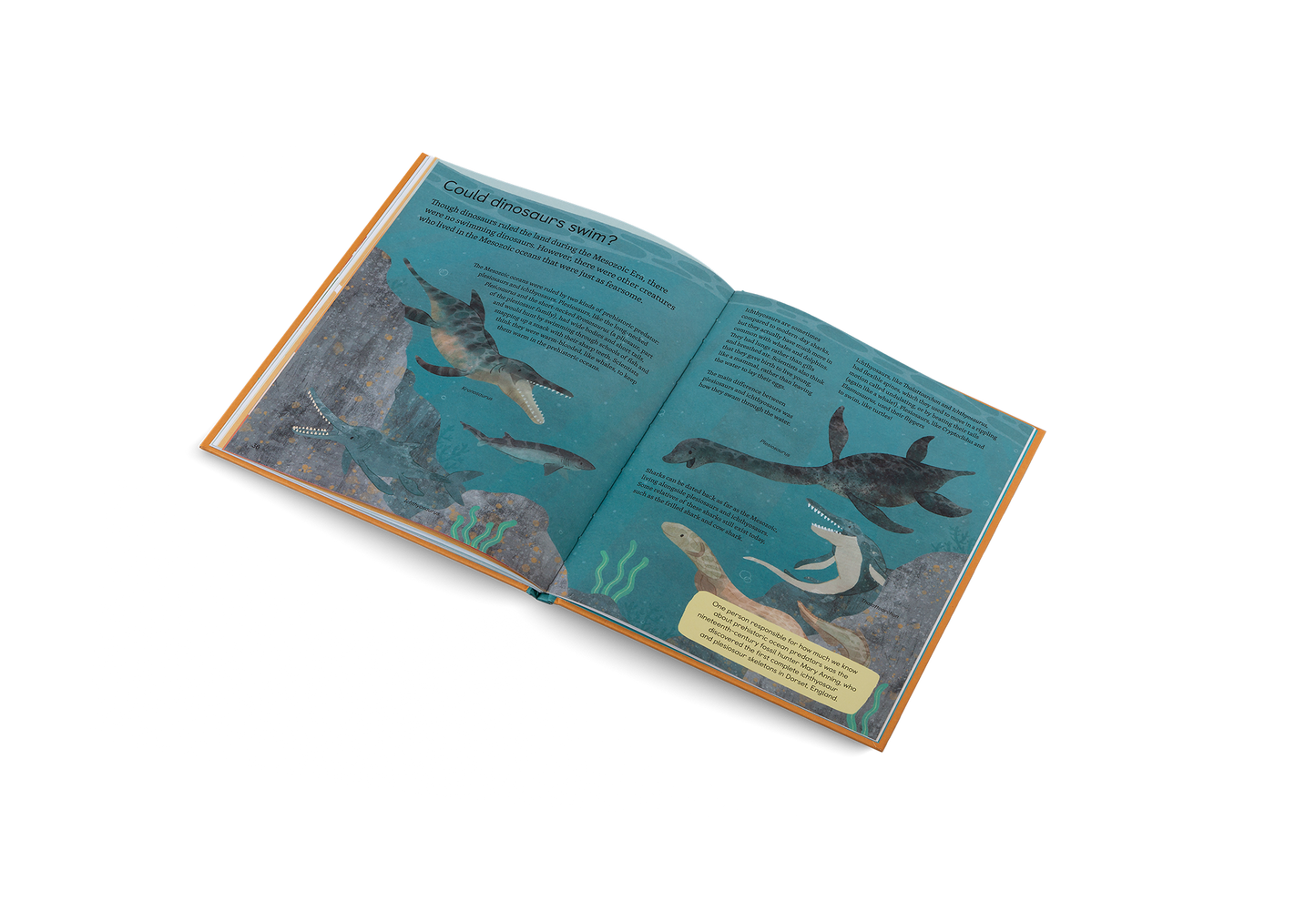 Ask Me About… Dinosaurs Kids' Non-Fiction Book