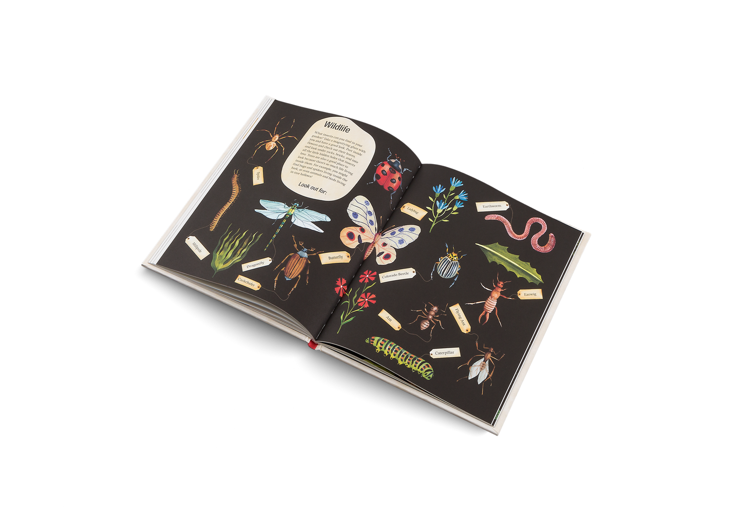 Easy Peasy Gardening For Kids Book