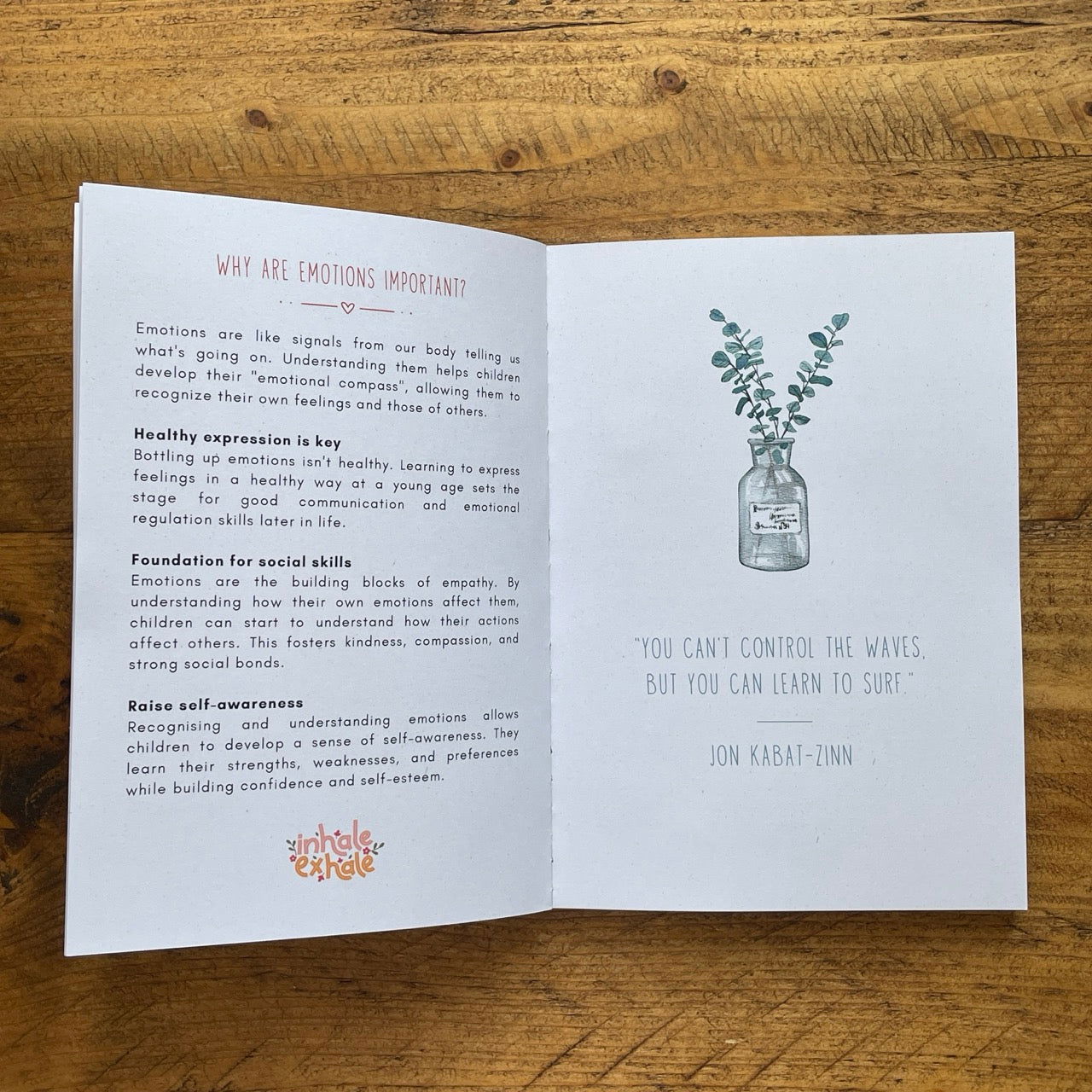 Little Goose Kids Journal for emotional wellbeing