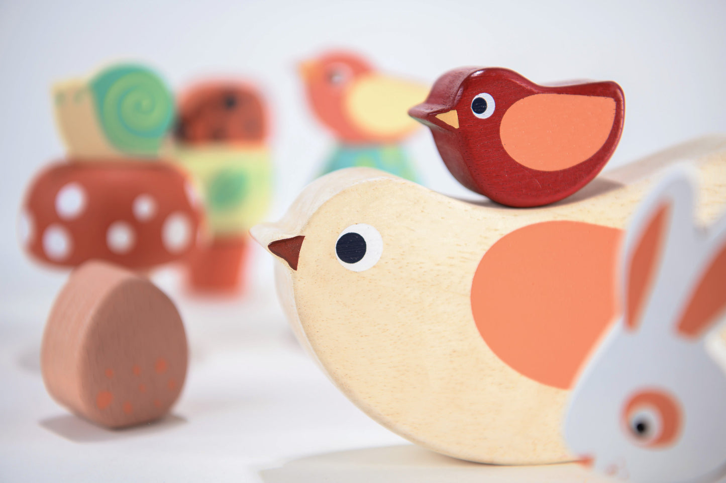 24 Months Garden Playtime Set