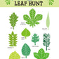 Forest Trail Kit