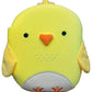 Squish and Snugg Noisy Chick Cuddly Book