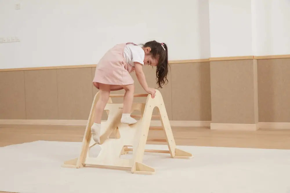 Viga Climbing Triangle